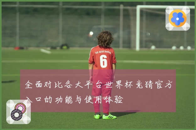 全面对比各大平台世界杯竞猜官方入口的功能与使用体验