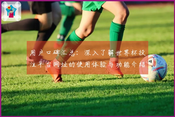 用户口碑汇总：深入了解世界杯投注平台网址的使用体验与功能介绍
