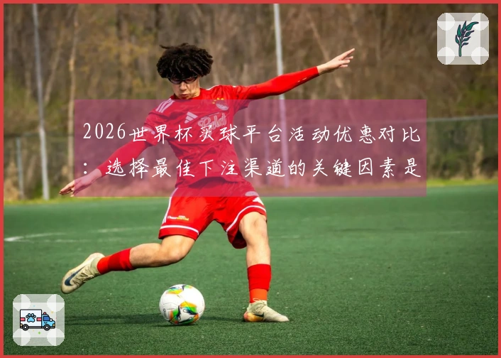 2026世界杯买球平台活动优惠对比：选择最佳下注渠道的关键因素是什么