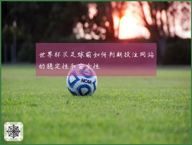 世界杯买足球前如何判断投注网站的稳定性和安全性