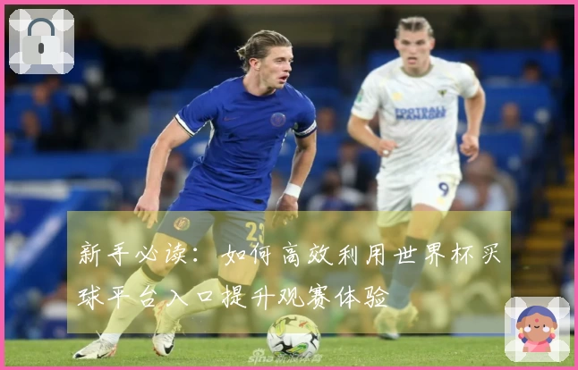 新手必读：如何高效利用世界杯买球平台入口提升观赛体验