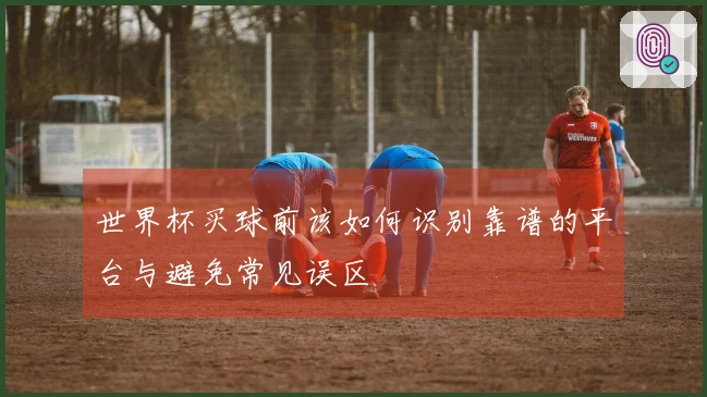 世界杯买球前该如何识别靠谱的平台与避免常见误区