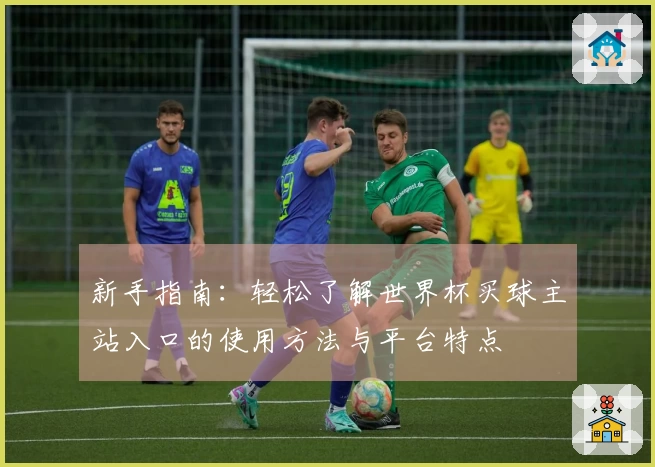新手指南：轻松了解世界杯买球主站入口的使用方法与平台特点