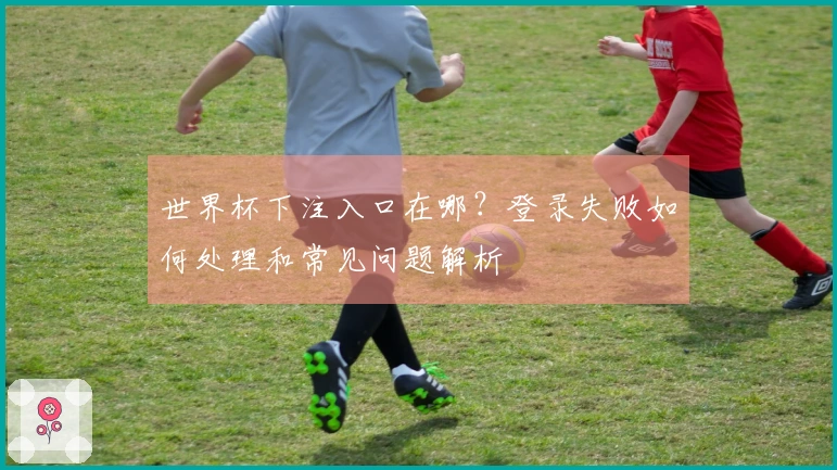 世界杯下注入口在哪？登录失败如何处理和常见问题解析