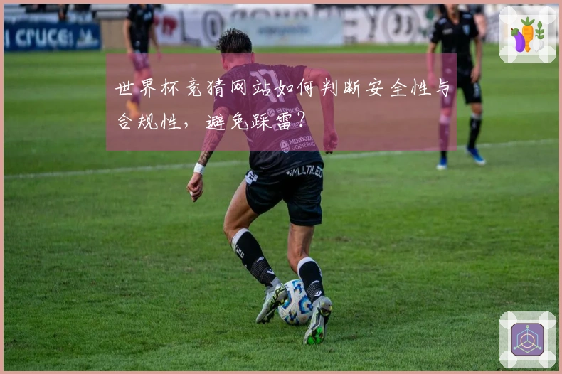 世界杯竞猜网站如何判断安全性与合规性，避免踩雷？