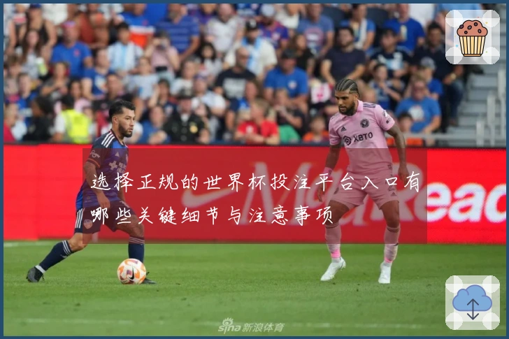 选择正规的世界杯投注平台入口有哪些关键细节与注意事项