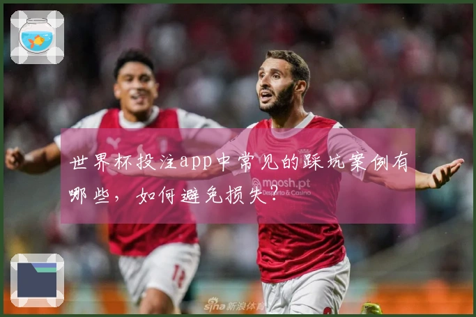 世界杯投注app中常见的踩坑案例有哪些，如何避免损失？