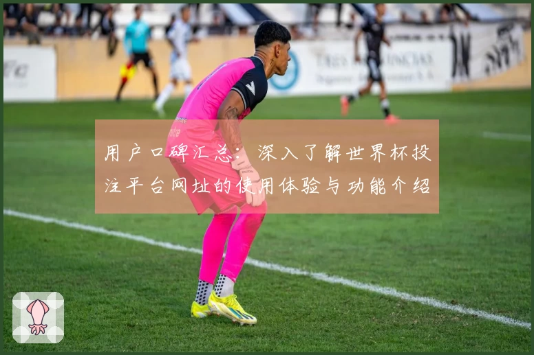 用户口碑汇总：深入了解世界杯投注平台网址的使用体验与功能介绍