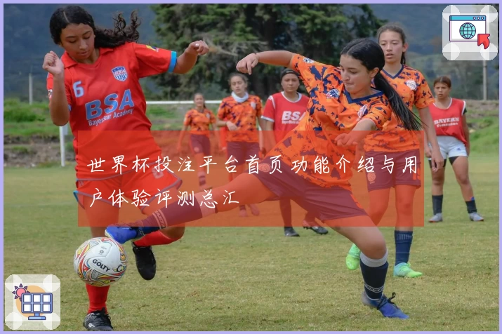 世界杯投注平台首页功能介绍与用户体验评测总汇