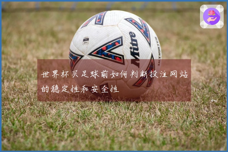 世界杯买足球前如何判断投注网站的稳定性和安全性