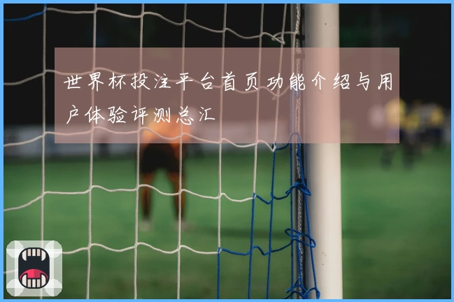 世界杯投注平台首页功能介绍与用户体验评测总汇