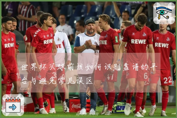世界杯买球前该如何识别靠谱的平台与避免常见误区